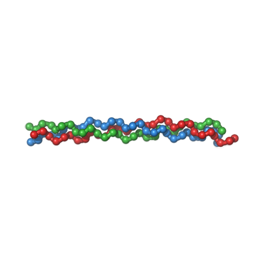 Collagen