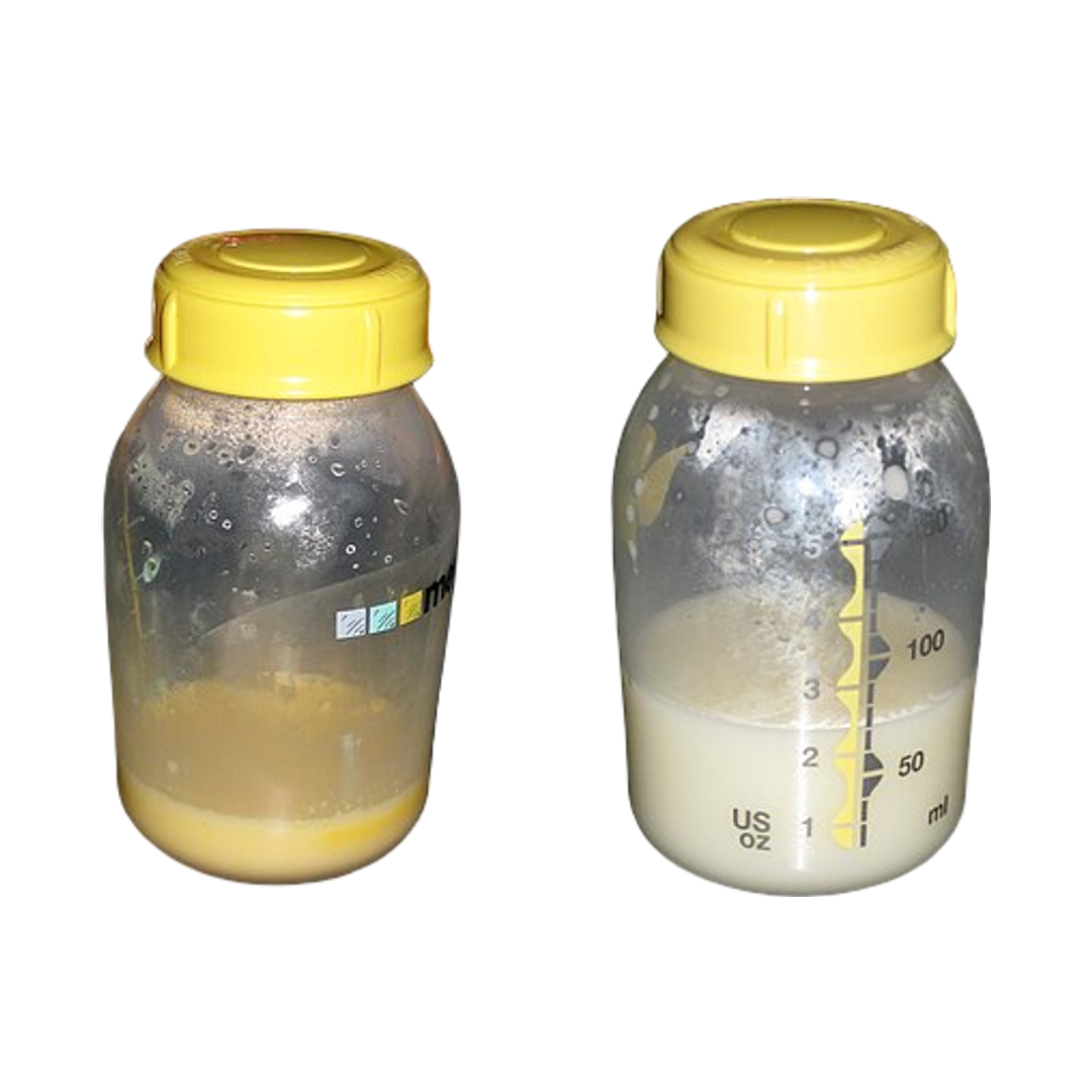 Colostrum