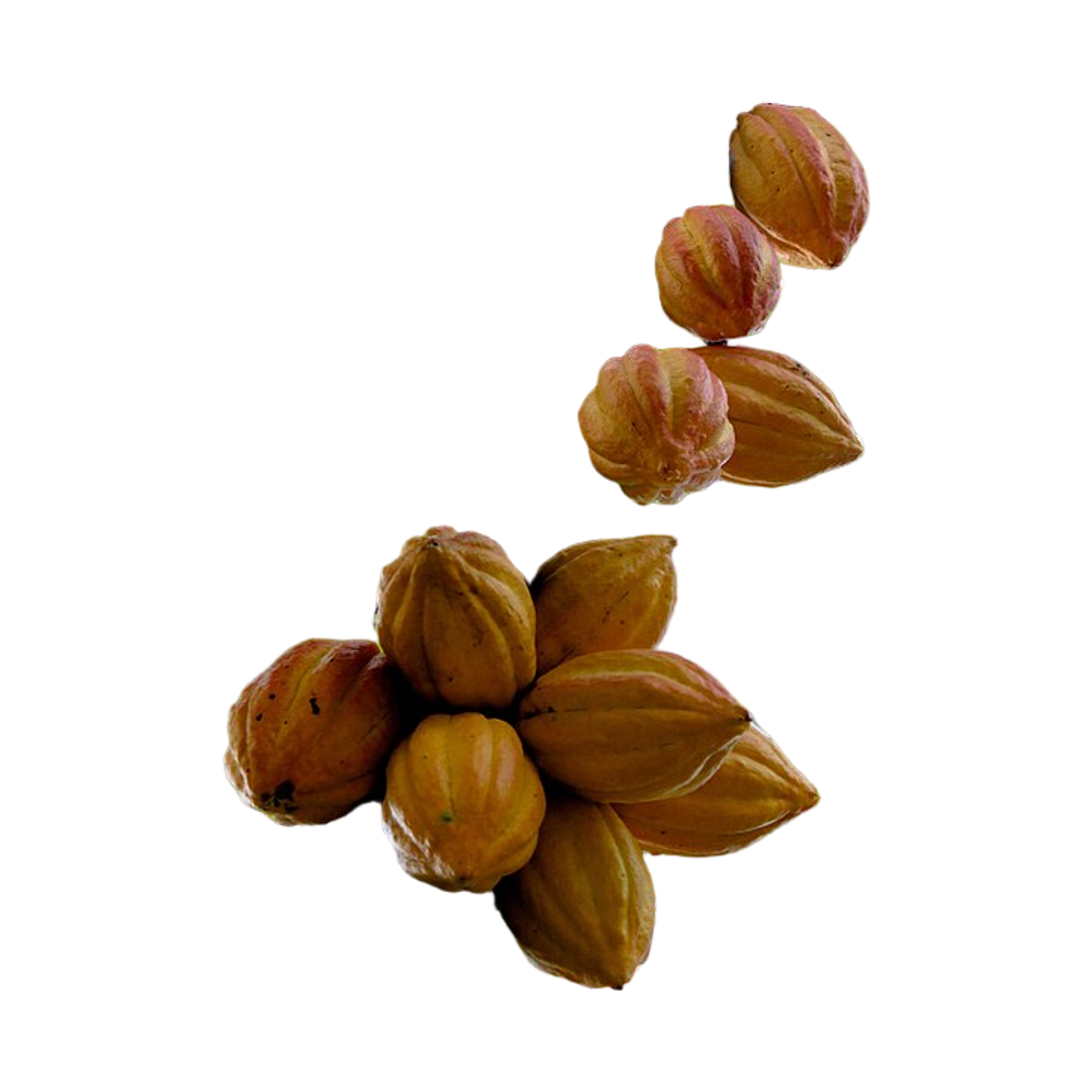 Cacao Powder