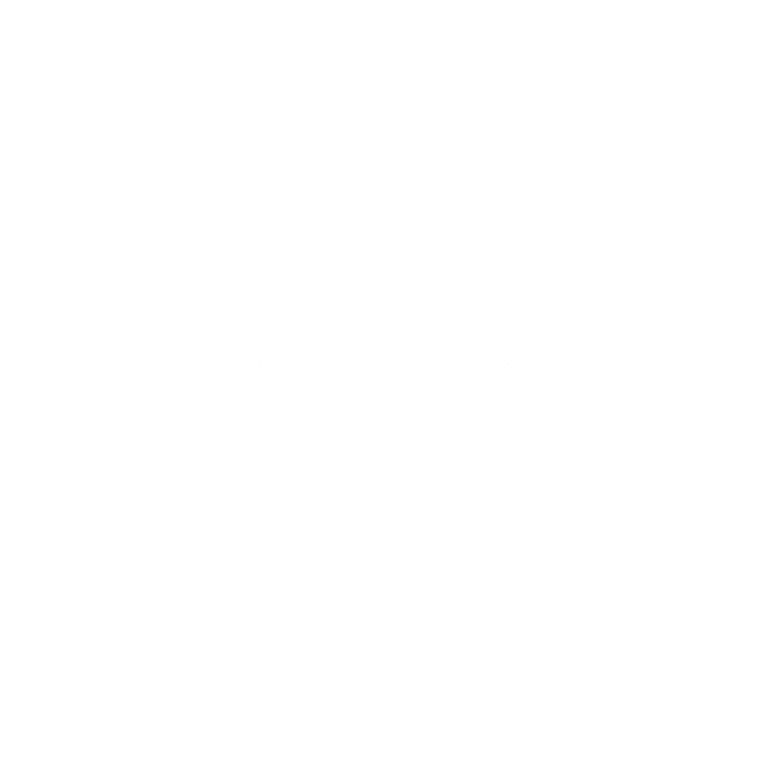 Lotus 1-2-3 5.0