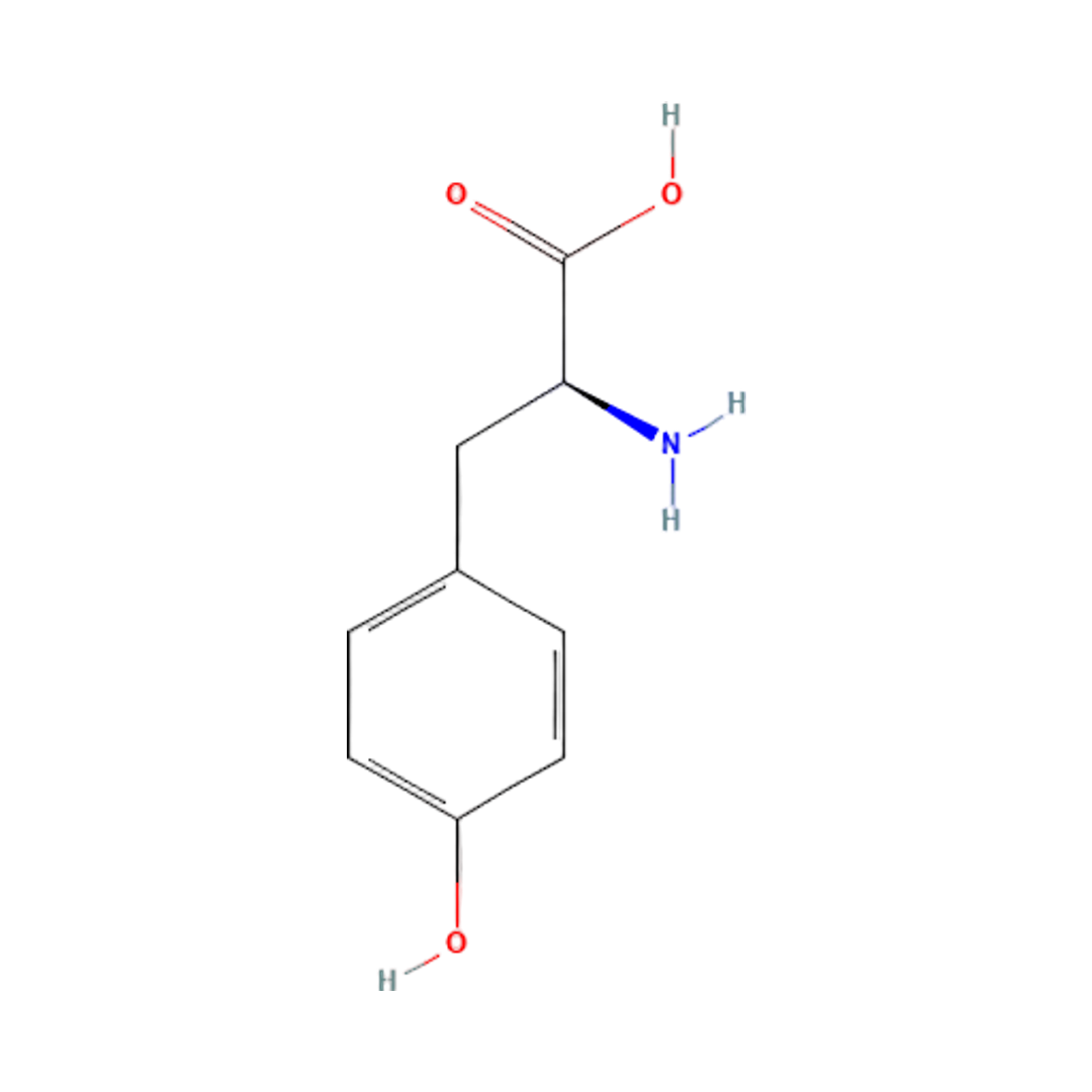 L-Tyrosine