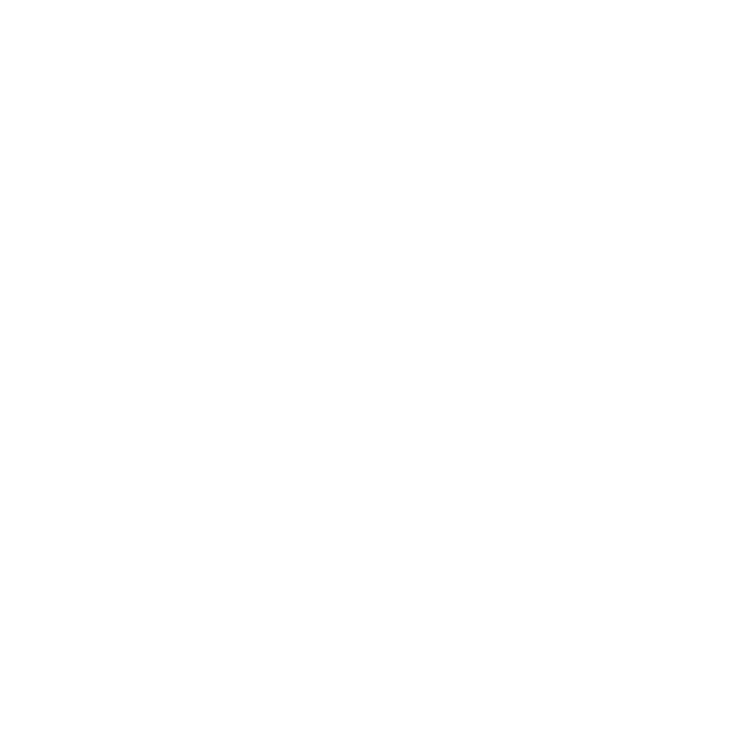 BitTorrent