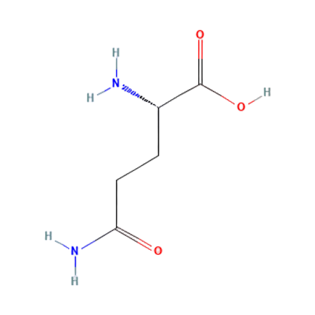 L-Glutamine