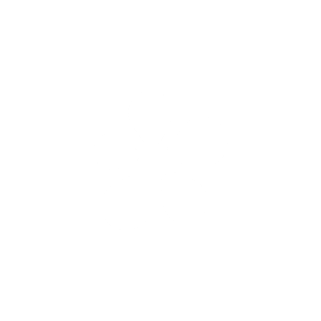 ICQ 1996